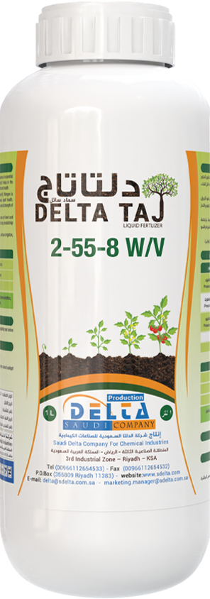 Delta Taj