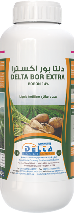Delta  Bor  Extra