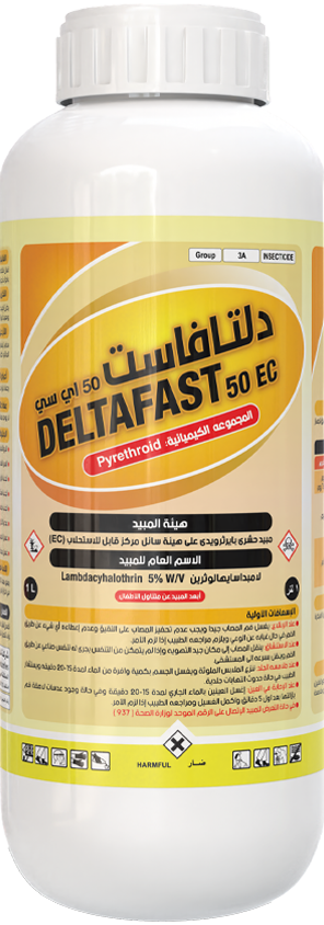 Delta Fast