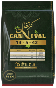 كرنفال