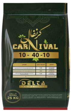 كرنفال
